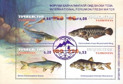 Fishes - MiNo. 167-70 - Overprinted