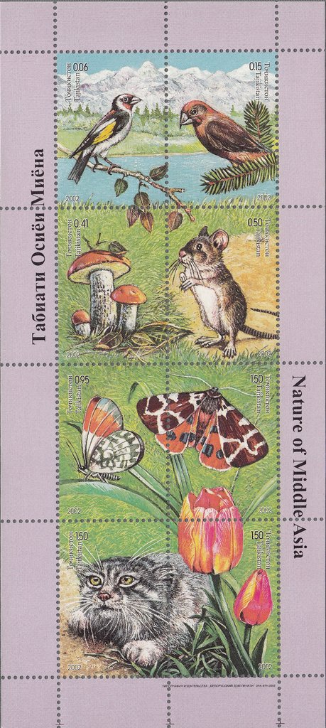 Nature of Middle Asia - MiNo. 212-19A