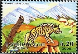 Striped Hyena (Hyaena hyaena)