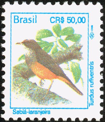Rufous-bellied Trush (Turdus rufiventris)