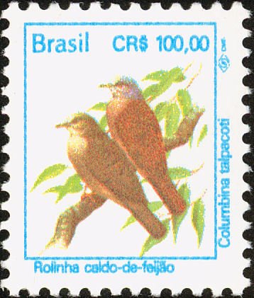 Ruddy Ground Dove (Columbina talpacoti) 