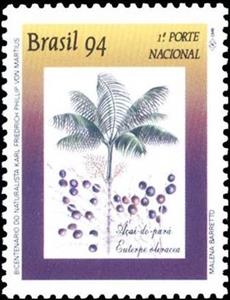Stamp, Açai - Euterpe oleracea, Brazil,  , Trees, Fruits, Plants (Flora)