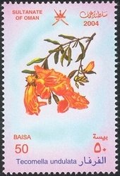 Stamp, Tecomella undulata, Oman,  , Flowers