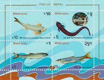 Souvenir Sheet, Fish - MiNo. 540-43, Nepal,  , Animals (Fauna), Fishes