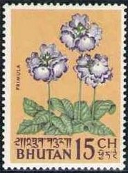 Primrose