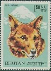 Stamp, Dhole (Cuon alpinus), Bhutan,  , Mammals, Foxes, Animals (Fauna)