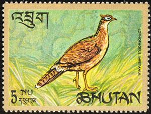 Stamp, White Crested Khalij (Lophura leucomelana hamiltoni), Bhutan,  , Birds, Pheasants, Animals (Fauna)