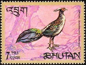 Stamp, Himalayan Monal (Lophophorus impejanus), Bhutan,  , Birds, Pheasants, Animals (Fauna)