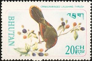 Stamp, Crimson-faced Liocichla (Liocichla phoenicea), Bhutan,  , Birds, Animals (Fauna)