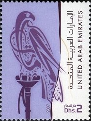 Falcon (Falco sp.)