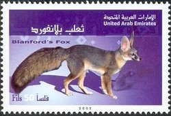Blanford's Fox (Vulpes cana)