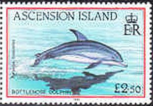 Stamp, Common Bottlenose Dolphin (Tursiops truncatus), Ascension Island,  , Fishes