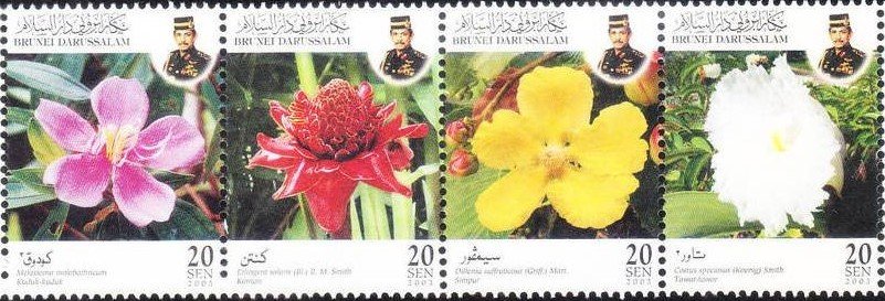 Medicinal plants