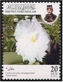 Costus speciosus