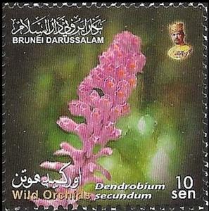 Stamp, Dendrobium secundum, Brunei Darussalam,  , Flowers, Orchids, Plants (Flora)