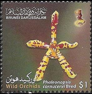 Stamp, Phalaenopsis cornu-cervi, Brunei Darussalam,  , Flowers, Orchids, Plants (Flora)