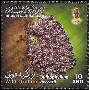 Stamp, Bulbophyllum beccarii, Brunei Darussalam,  , Flowers, Orchids, Plants (Flora)