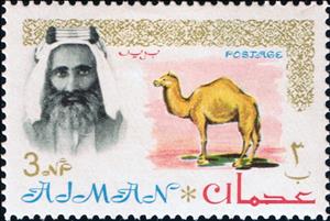 Stamp, Sheik Rashid and Dromedary (Camelus dromedarius), Ajman,  , Heads of State, Mammals, Camels, Animals (Fauna)