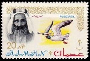 Sheik Rashid and White-eyed Gull (Larus leucophthalmus)