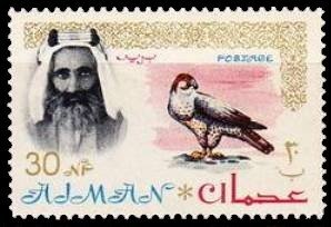 Shaikh Rashid and Lanner Falcon (Falco biarmicus)