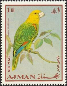 Stamp, Yellow-crowned Amazon (Amazona ochrocephala), Ajman,  , Birds, Parrots, Animals (Fauna)