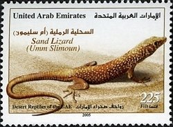 Sand Lizard (Lacerta agilis)