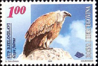 Stamp, Griffon Vulture (Gyps fulvus), Bosnia and Herzegovina,  