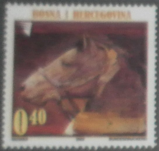 Mersad Berber 1