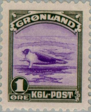 Harp Seal (Pagophilus groenlandicus)
