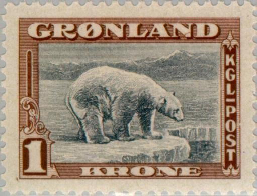 Polar Bear (Ursus maritimus)