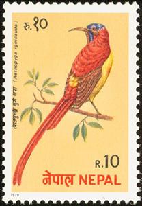 Stamp, Fire-tailed Sunbird (Aethopyga ignicauda), Nepal,  , Birds, Animals (Fauna)