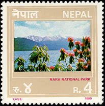 Flowers, lake, mountains