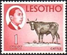 King Moshoeshoe II and Cattle (Bos primigenius taurus)