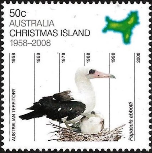 Abbott's Booby (Papasula abbotti)