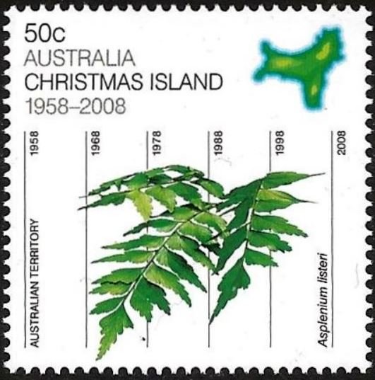 CI Spleenwort