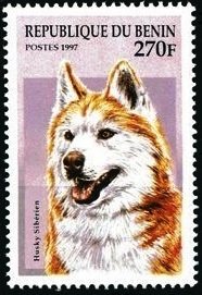 Stamp, Siberian husky, Benin,  , Mammals, Dogs, Animals (Fauna)