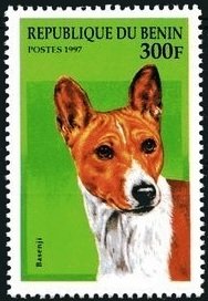 Stamp, Basenji, Benin,  , Mammals, Dogs, Animals (Fauna)