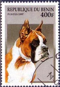 Stamp, Boxer, Benin,  , Mammals, Dogs, Animals (Fauna)