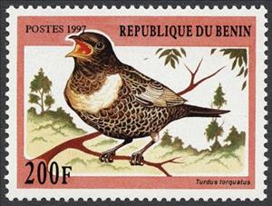 Stamp, Ring Ousel (Turdus torquatus), Benin,  , Birds, Animals (Fauna)