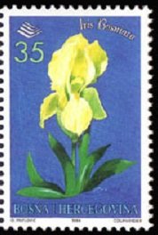 Stamp, Iris Bosniaca, Bosnia and Herzegovina,  