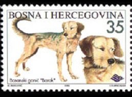 Stamp, Barak, Bosnia and Herzegovina,  , Mammals, Dogs, Animals (Fauna)