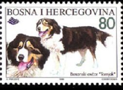 Stamp, Tornjak, Bosnia and Herzegovina,  , Mammals, Dogs, Animals (Fauna)