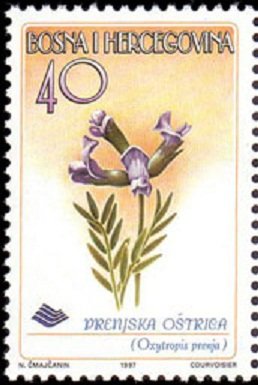 Stamp, Oxytropis prenja, Bosnia and Herzegovina,  