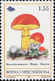 Stamp, Amanita caesarea, Bosnia and Herzegovina,  , Mushrooms