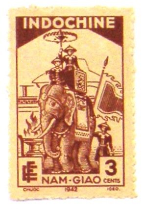 Asian Elephant (Elephas maximus) with Houda