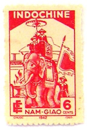 African Elephant (Loxodonta africana) with Houda