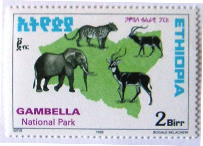 Elephant And Other Animals (Gambella)