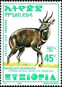 Stamp, Menelik's Bushbuck (Tragelaphus scriptus meneliki), Ethiopia,  , Antelopes, Animals (Fauna)
