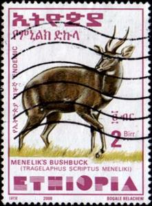 Stamp, Menelik's Bushbuck (Tragelaphus scriptus meneliki), Ethiopia,  , Antelopes, Animals (Fauna)
