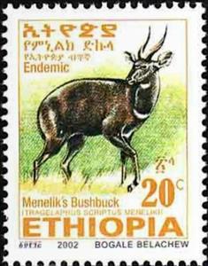 Stamp, Menelik's Bushbock (Tragelaphus scriptus meneliki), Ethiopia,  , Mammals, Antelopes, Animals (Fauna)